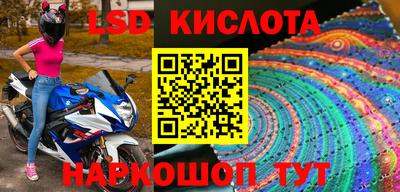 прущие грибы Будённовск