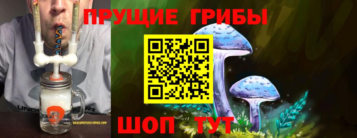 Галлюциногенные грибы Psilocybine cubensis  Галлюциногенные грибы прущие грибы  Вход с VPN  Москва 