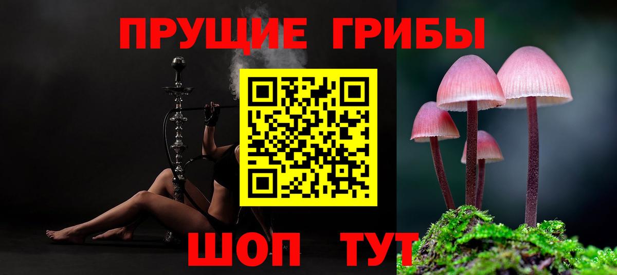 Псилоцибиновые грибы Psilocybine cubensis Москва